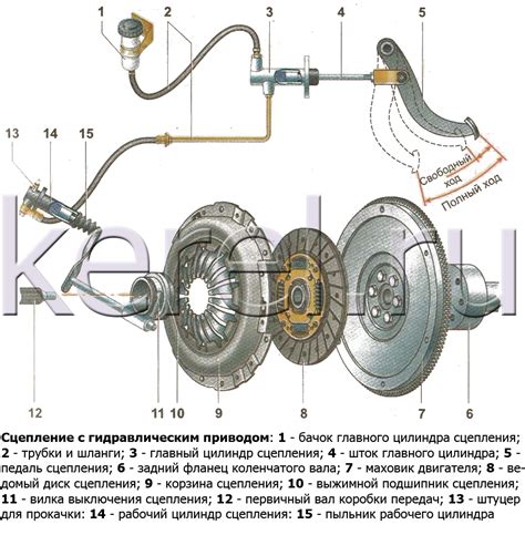 Установка сцепления с человеком