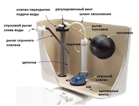 Устройство бачка жидкости: основные компоненты и принцип работы