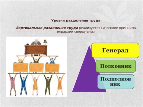 Устройство общества и разделение труда