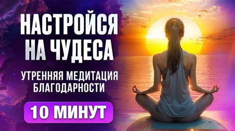 Утренний прогулочный ритуал
