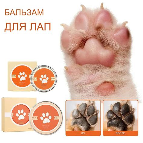 Ухаживаем за подушечками лапок
