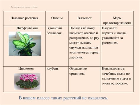 Ухаживайте за растением
