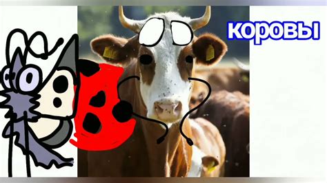 Уход за божьими коровками