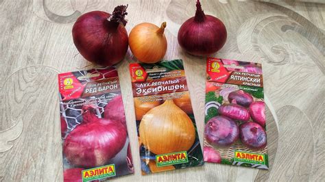 Уход за рассадой лука в Сибири: полив, освещение и температурный режим