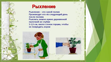 Уход за растениями и урожай