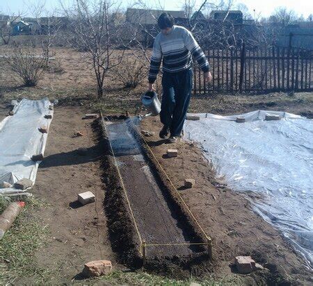 Уход за редиской