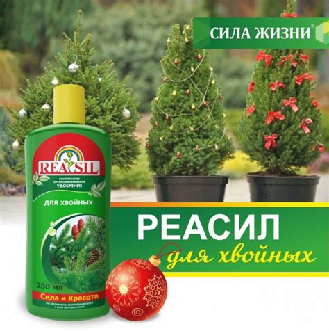 Уход за ёлкой в горшке из магнита: советы и рекомендации