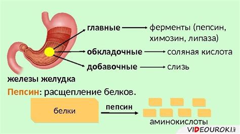Ухудшение пищеварения при употреблении горячего молока