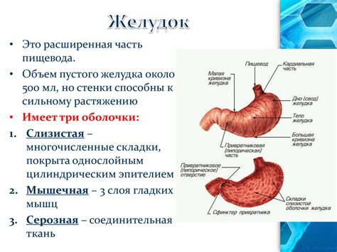 Ухудшение функции желудка