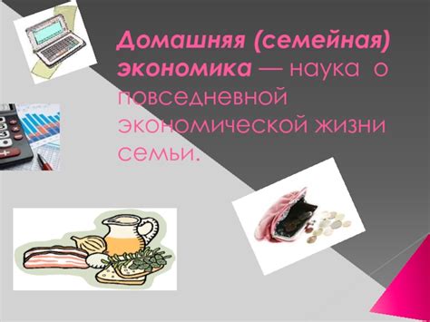 Участие в экономической жизни семьи