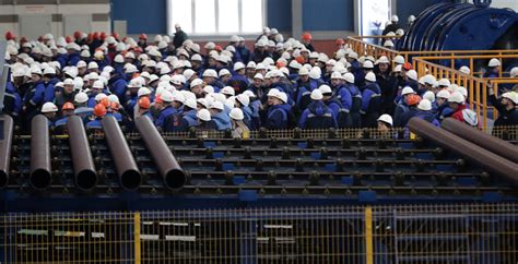 Учеба на рабочем месте: лучший способ повысить свои знания