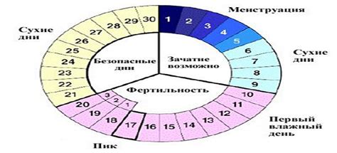 Учет циклов и трекинг овуляции