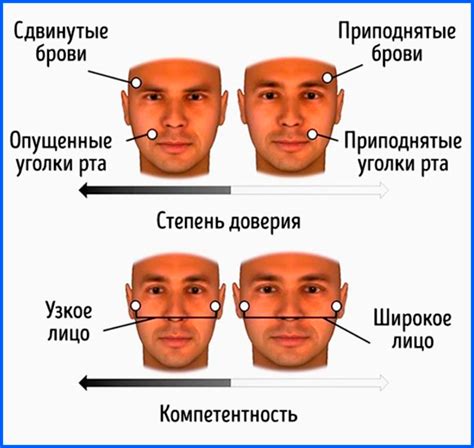 Учимся давать выразительность чертам лица Тома 2