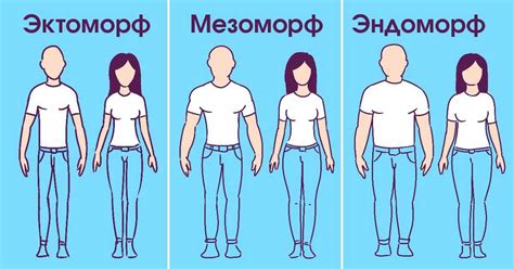 Учтите особенности высоты и типа фигуры