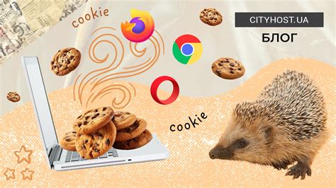 Файлы cookie