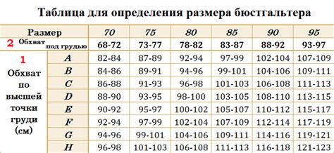 Факторы, влияющие на выбор размера женского нижнего белья