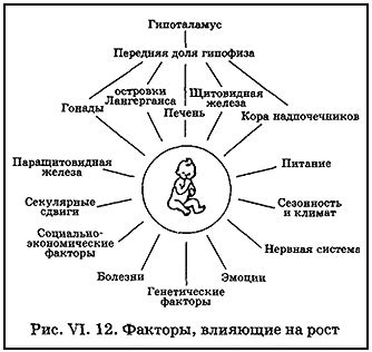 Факторы, влияющие на рост ребенка в детском возрасте