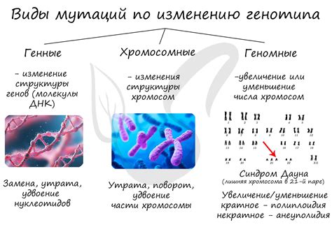 Факторы, которые могут негативно влиять на гнусную пыль.