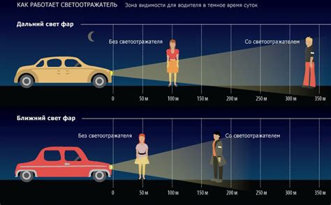 Факторы, привлекающие лосей на дорогу в темное время суток