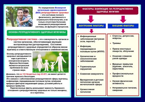 Факторы влияющие на расположение