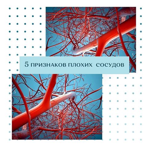 Факт первый: бледность кожи может быть признаком проблем с кровеносными сосудами