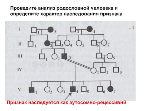 Фамилия как признак наследования