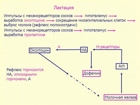 Физиологические изменения после операции