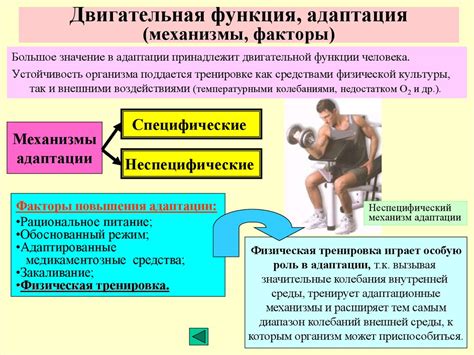 Физиологические механизмы