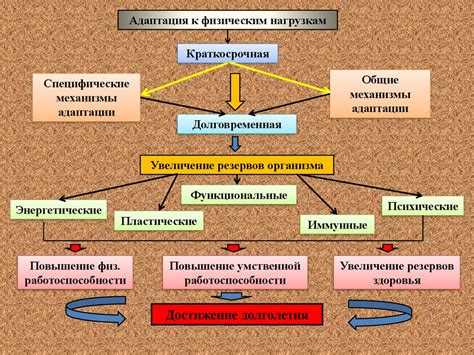 Физиологические механизмы головокружения при тревожности