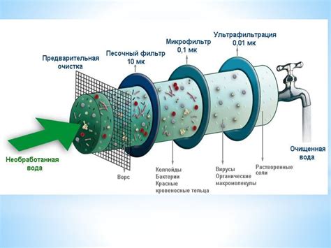 Физиологические основы работы клубочковой фильтрации