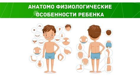 Физиологические причины грызения у ребенка 7 лет