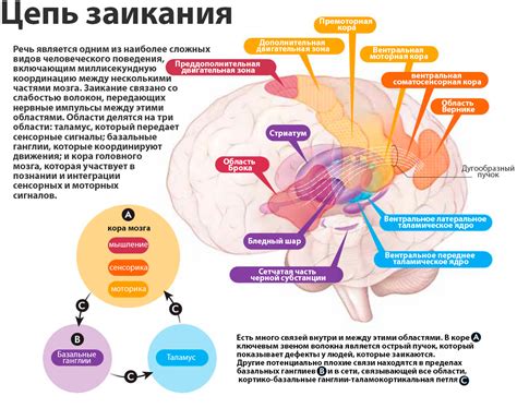 Физиологические причины дремливости при посещении других домов
