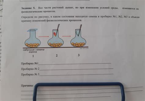 Физиологические процессы при повешении