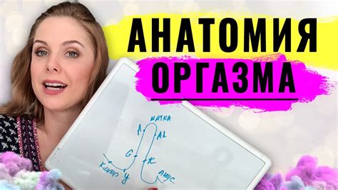 Физиологические проявления оргазма