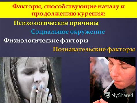 Физиологические факторы, способствующие повторению сновидений