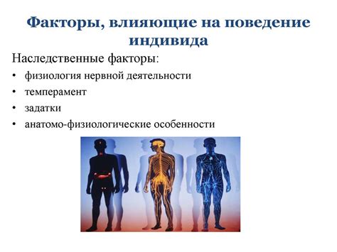Физиологические факторы разделения живота человека