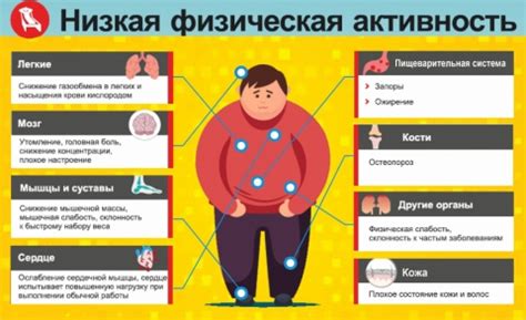 Физическая активность и ее роль в очищении организма