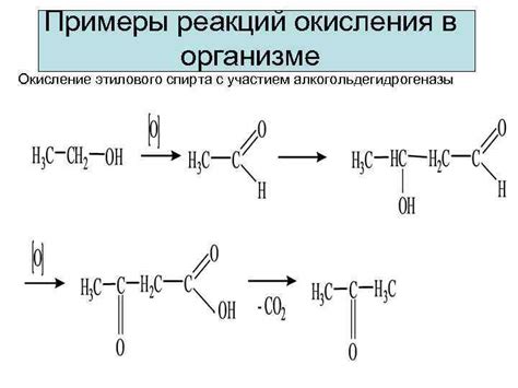 Физические изменения в организме под воздействием этилового спирта