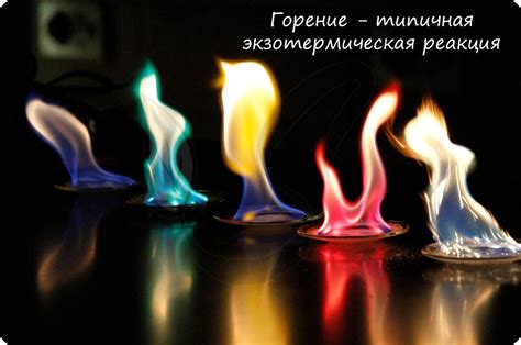 Физические и химические механизмы совместного взаимодействия