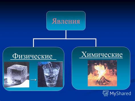 Физические признаки и особенности Чжон
