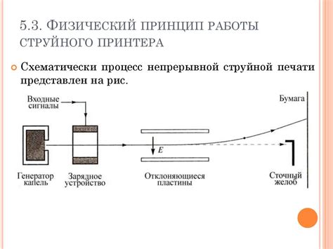 Физические принципы формирования шарообразных пузырей