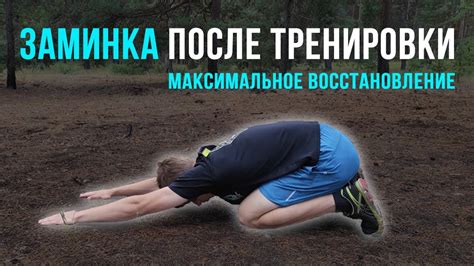 Физические упражнения и тренировки для активации ЦНС