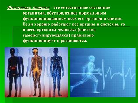 Физическое состояние: здоровье и внешний вид