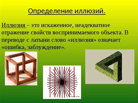 Философская иллюзия дерева-человека