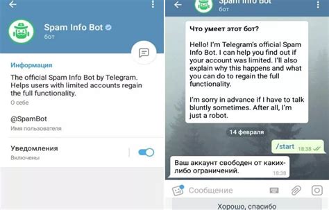Фильтрация спам-контента в Телеграм