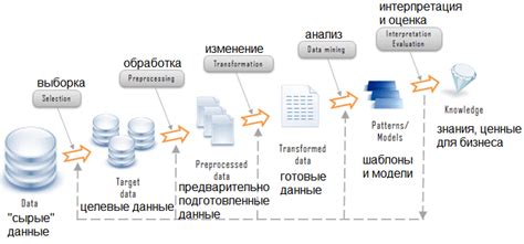 Финальный этап: обработка данных и определение