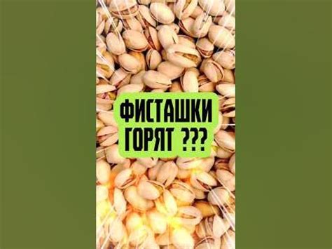 Фисташки: основные факты