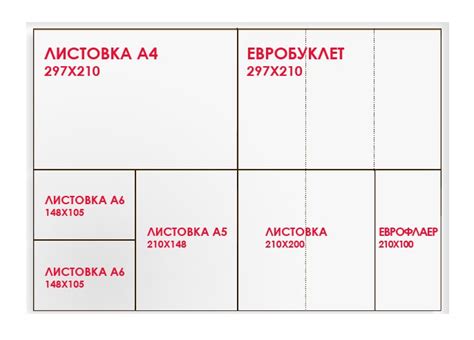 Форматы весов: выбор правильного формата