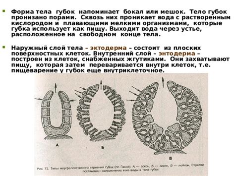 Форма губок и равномерное давление