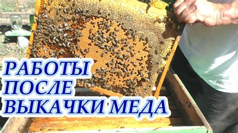Формирование меда